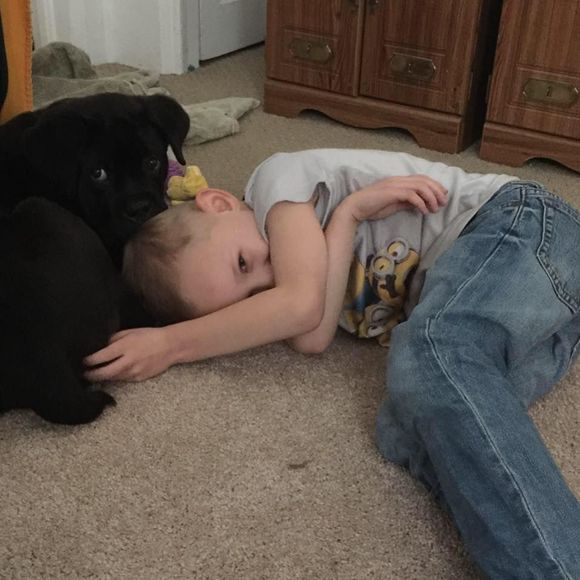 Meet your Posher, Stephanie - Picture 1 of 1